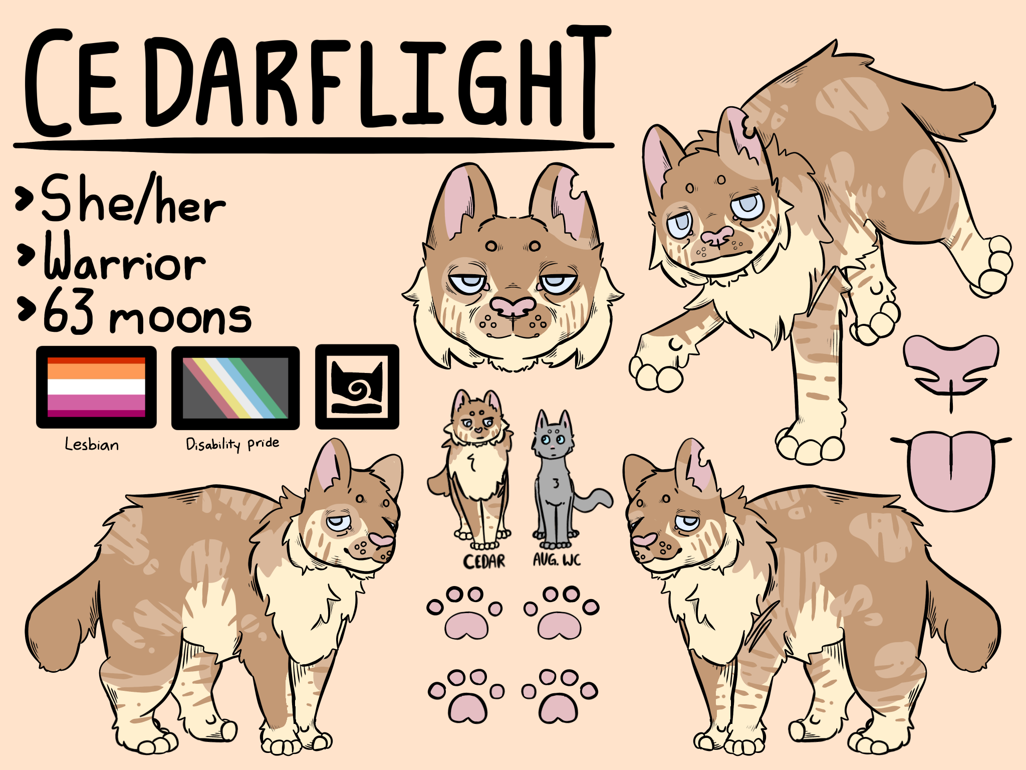 full body drawings of cedarflight. she is an orange splotchy tabby who is big and has a lot of fur.